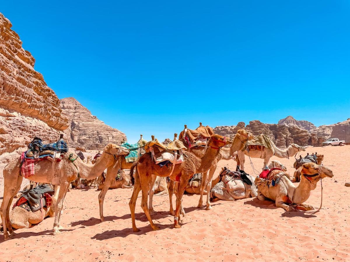 Rum Jordan Camp And Tours Wadi Rum Exterior photo